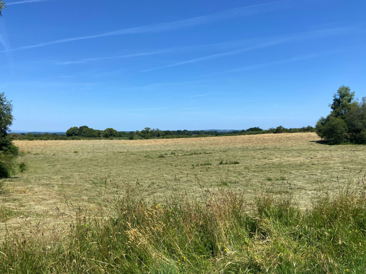 Terrain agricole de 1ha76a